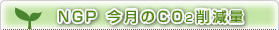 NGP今月のCO2削減量